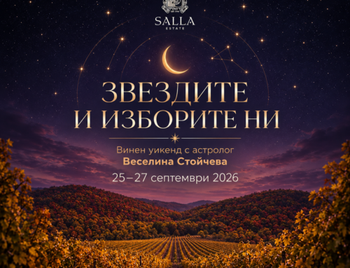 ✨ ЗВЕЗДИТЕ И ИЗБОРИТЕ НИ ✨ Винен уикенд с астролог Веселина Стойчева